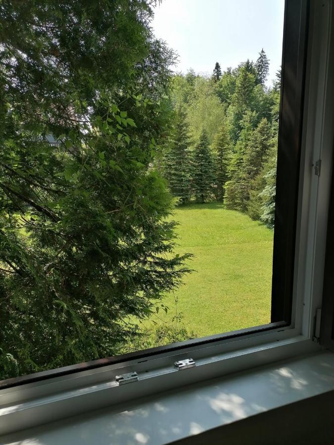 Apartamento Haus Aschau Bad Ischl Exterior foto