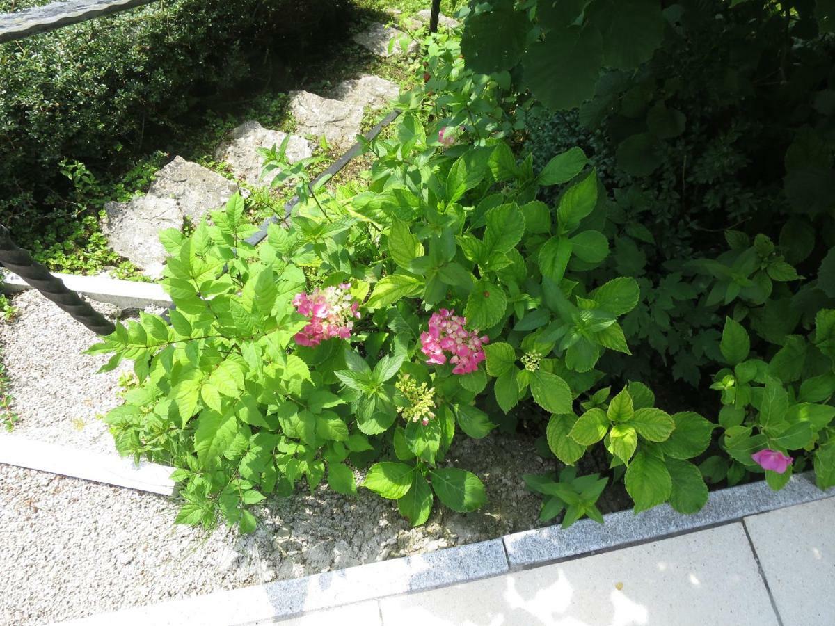 Apartamento Haus Aschau Bad Ischl Exterior foto